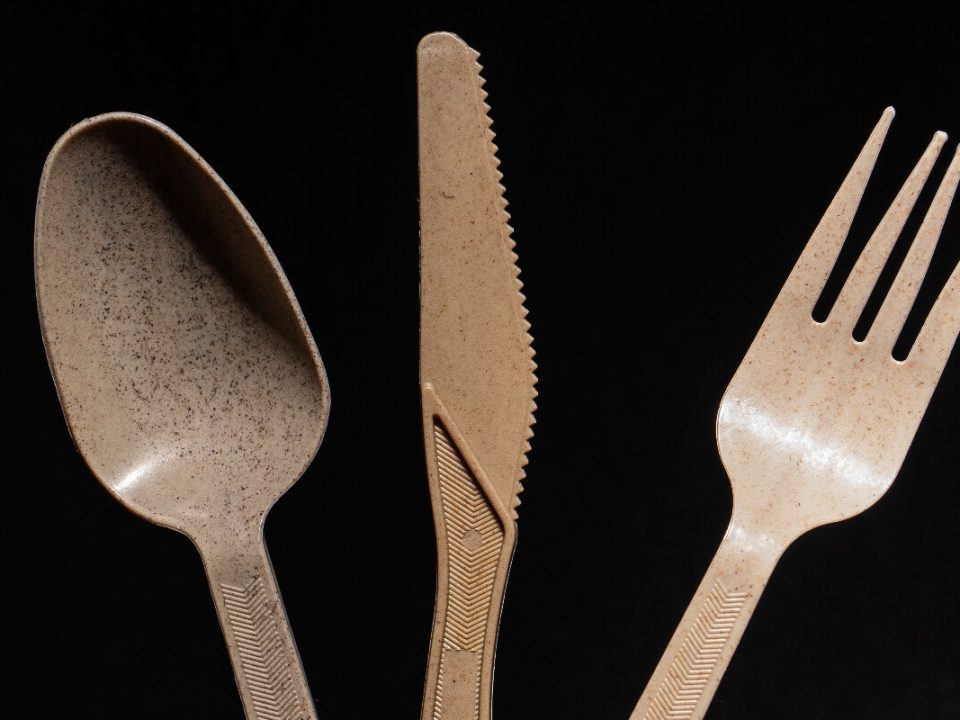Biodegradable disposable cutlery