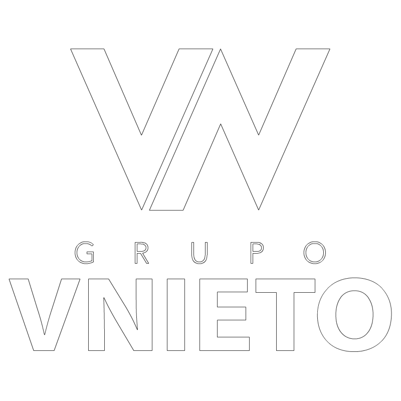 logo VNieto G